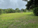 IMG_9706